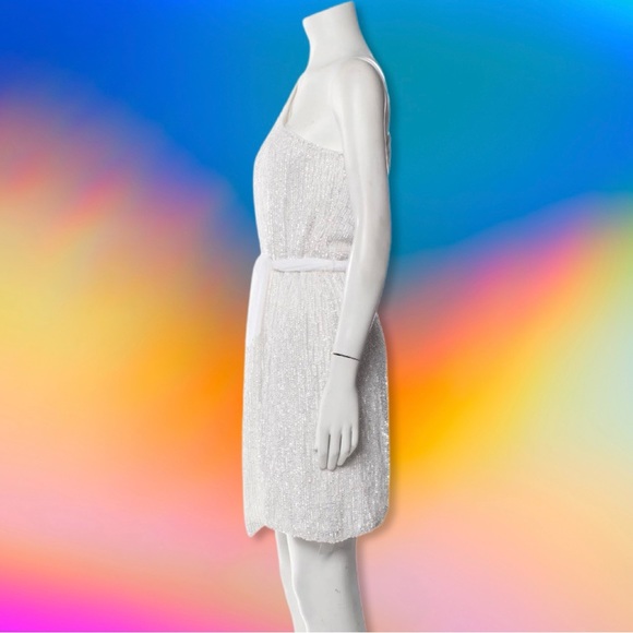 NWT RETROFETE ELLA DRESS - MOONGLOW - LARGE - Picture 4 of 10